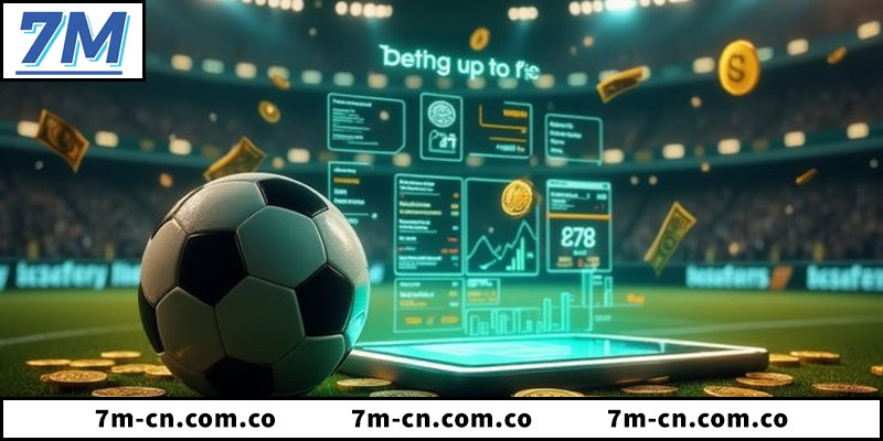 Khám phá chi tiết nền tảng 7m